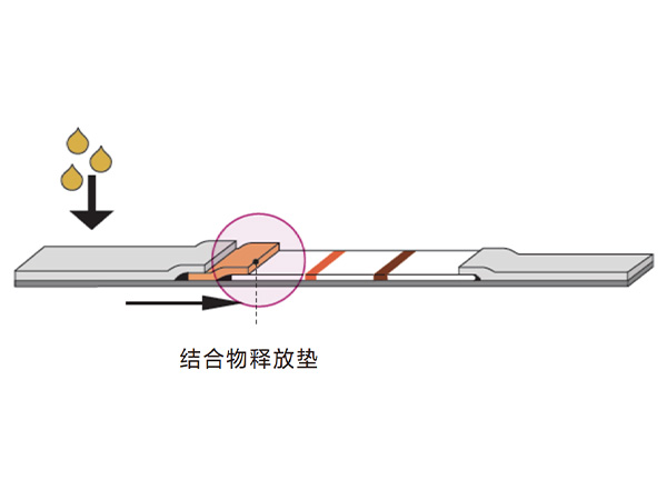 侧向流结合物释放垫