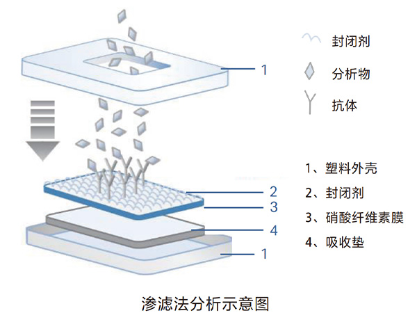 垂直流渗滤分析