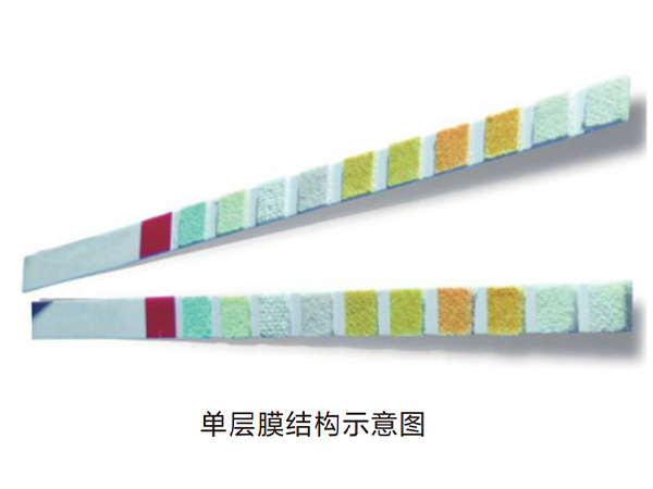 单层干化学滤纸